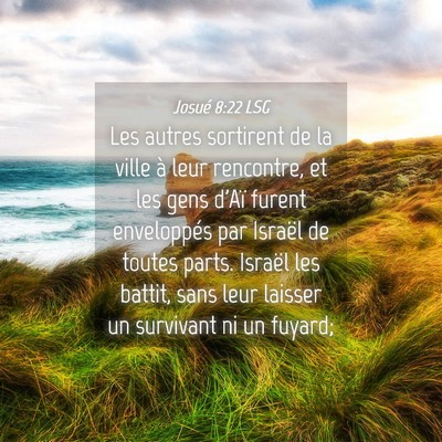 Picture 04 - Josué 8:22 LSG - Les autres sortirent de la ville à leur - Bible Verse Picture