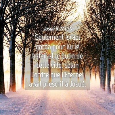 Picture 04 - Josué 8:27 LSG - Seulement Israël garda pour lui le bétail et le - Bible Verse Picture