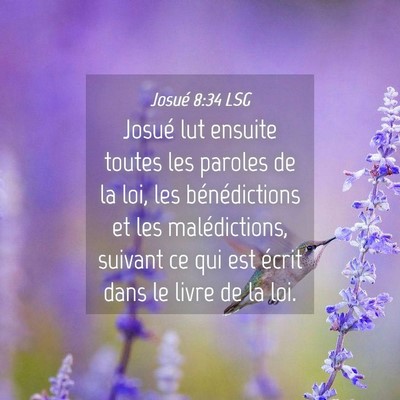 Picture 04 - Josué 8:34 LSG - Josué lut ensuite toutes les paroles de la loi, - Bible Verse Picture