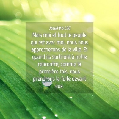 Picture 04 - Josué 8:5 LSG - Mais moi et tout le peuple qui est avec moi, nous - Bible Verse Picture
