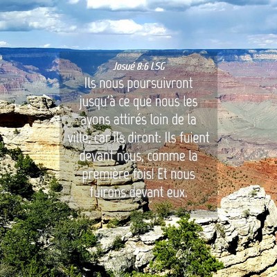 Picture 04 - Josué 8:6 LSG - Ils nous poursuivront jusqu'à ce que nous les - Bible Verse Picture