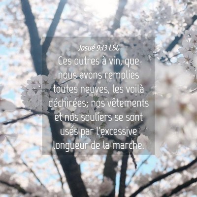 Picture 04 - Josué 9:13 LSG - Ces outres à vin, que nous avons remplies toutes - Bible Verse Picture
