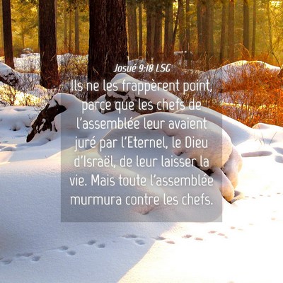 Picture 04 - Josué 9:18 LSG - Ils ne les frappèrent point, parce que les chefs - Bible Verse Picture