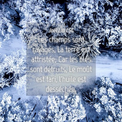 Picture 04 - Joël 1:10 LSG - Les champs sont ravagés, La terre est - Bible Verse Picture