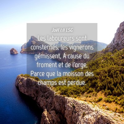 Picture 04 - Joël 1:11 LSG - Les laboureurs sont consternés, les vignerons - Bible Verse Picture