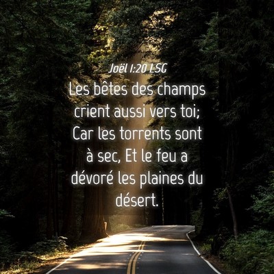 Picture 04 - Joël 1:20 LSG - Les bêtes des champs crient aussi vers toi; Car - Bible Verse Picture
