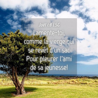 Picture 04 - Joël 1:8 LSG - Lamente-toi, comme la vierge qui se revêt d'un - Bible Verse Picture