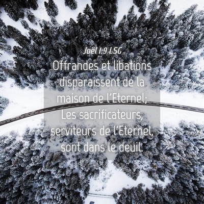 Picture 04 - Joël 1:9 LSG - Offrandes et libations disparaissent de la maison - Bible Verse Picture