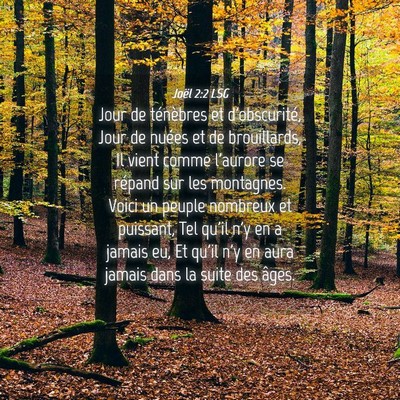 Picture 04 - Joël 2:2 LSG - Jour de ténèbres et d'obscurité, Jour de - Bible Verse Picture