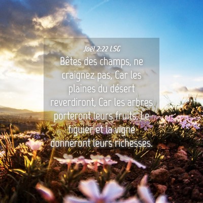 Picture 04 - Joël 2:22 LSG - Bêtes des champs, ne craignez pas, Car les - Bible Verse Picture