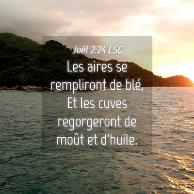 Picture 04 - Joël 2:24 LSG - Les aires se rempliront de blé, Et les cuves - Bible Verse Picture