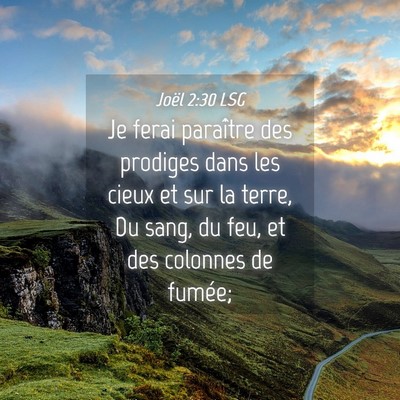 Picture 04 - Joël 2:30 LSG - Je ferai paraître des prodiges dans les cieux et - Bible Verse Picture