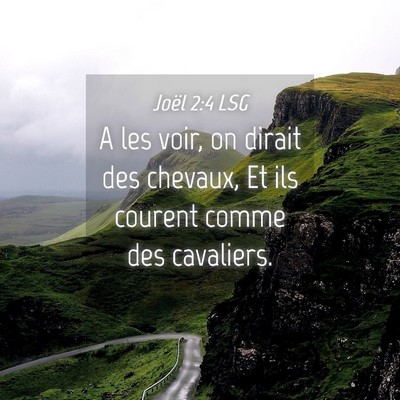 Picture 04 - Joël 2:4 LSG - A les voir, on dirait des chevaux, Et ils courent - Bible Verse Picture