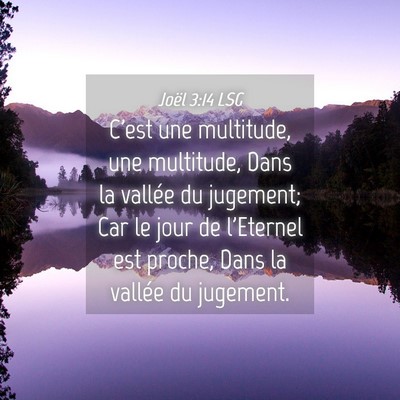 Picture 04 - Joël 3:14 LSG - C'est une multitude, une multitude, Dans la - Bible Verse Picture