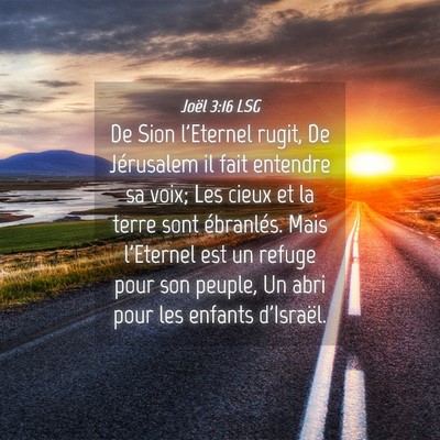 Picture 04 - Joël 3:16 LSG - De Sion l'Eternel rugit, De Jérusalem il fait - Bible Verse Picture