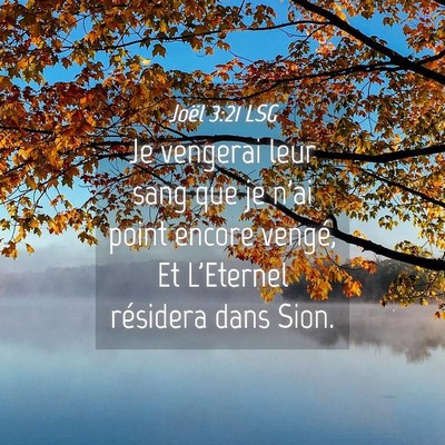 Picture 04 - Joël 3:21 LSG - Je vengerai leur sang que je n'ai point encore - Bible Verse Picture