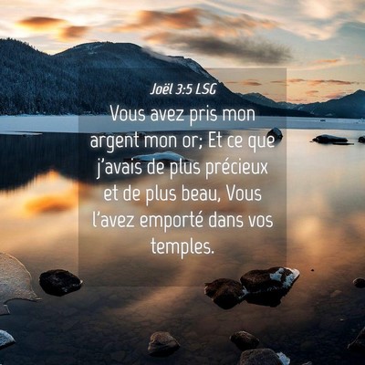Picture 04 - Joël 3:5 LSG - Vous avez pris mon argent mon or; Et ce que - Bible Verse Picture