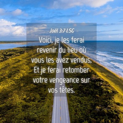 Picture 04 - Joël 3:7 LSG - Voici, je les ferai revenir du lieu où vous les - Bible Verse Picture