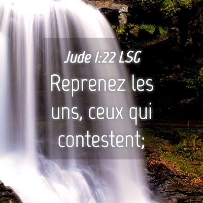 Picture 04 - Jude 1:22 LSG - Reprenez les uns, ceux qui - Bible Verse Picture