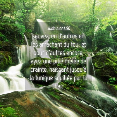 Picture 04 - Jude 1:23 LSG - sauvez-en d'autres en les arrachant du feu; et - Bible Verse Picture