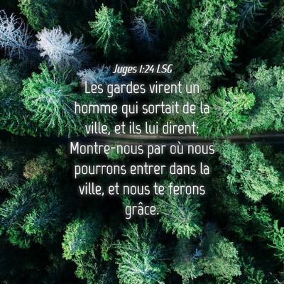 Picture 04 - Juges 1:24 LSG - Les gardes virent un homme qui sortait de la - Bible Verse Picture
