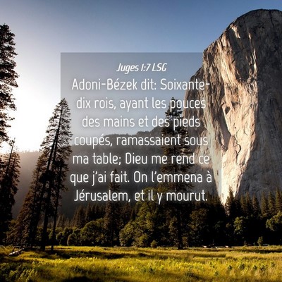 Picture 04 - Juges 1:7 LSG - Adoni-Bézek dit: Soixante-dix rois, ayant les - Bible Verse Picture