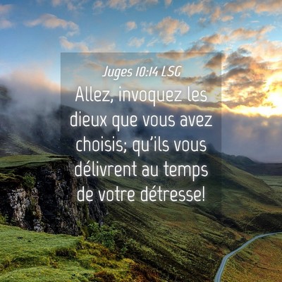 Picture 04 - Juges 10:14 LSG - Allez, invoquez les dieux que vous avez choisis; - Bible Verse Picture
