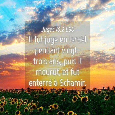 Picture 04 - Juges 10:2 LSG - Il fut juge en Israël pendant vingt-trois ans; - Bible Verse Picture