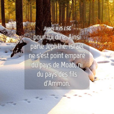 Picture 04 - Juges 11:15 LSG - pour lui dire: Ainsi parle Jephthé: Israël ne - Bible Verse Picture