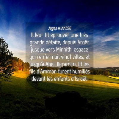 Picture 04 - Juges 11:33 LSG - Il leur fit éprouver une très grande défaite, - Bible Verse Picture