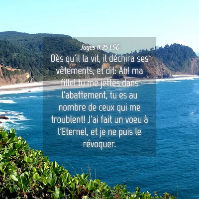 Picture 04 - Juges 11:35 LSG - Dès qu'il la vit, il déchira ses vêtements, et - Bible Verse Picture