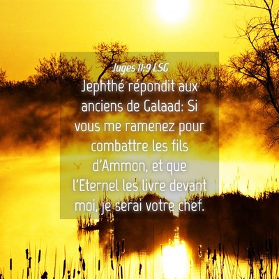 Picture 04 - Juges 11:9 LSG - Jephthé répondit aux anciens de Galaad: Si vous - Bible Verse Picture