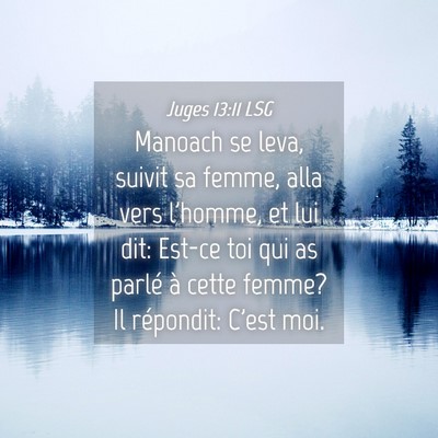 Picture 04 - Juges 13:11 LSG - Manoach se leva, suivit sa femme, alla vers - Bible Verse Picture