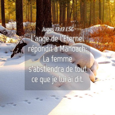 Picture 04 - Juges 13:13 LSG - L'ange de l'Eternel répondit à Manoach: La - Bible Verse Picture