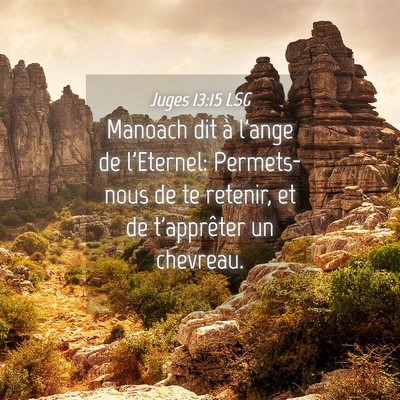 Picture 04 - Juges 13:15 LSG - Manoach dit à l'ange de l'Eternel: Permets-nous - Bible Verse Picture