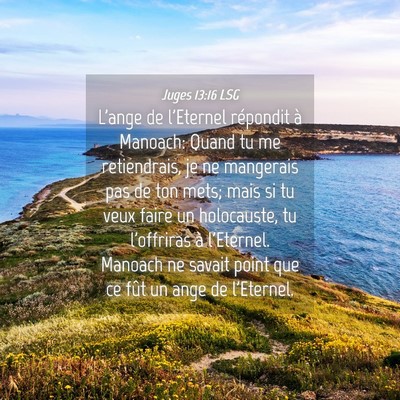 Picture 04 - Juges 13:16 LSG - L'ange de l'Eternel répondit à Manoach: Quand - Bible Verse Picture
