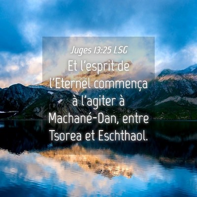 Picture 04 - Juges 13:25 LSG - Et l'esprit de l'Eternel commença à l'agiter à - Bible Verse Picture