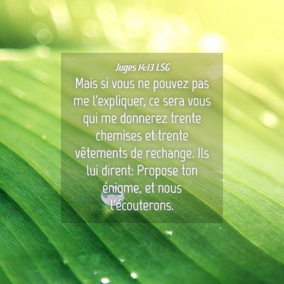 Picture 04 - Juges 14:13 LSG - Mais si vous ne pouvez pas me l'expliquer, ce - Bible Verse Picture