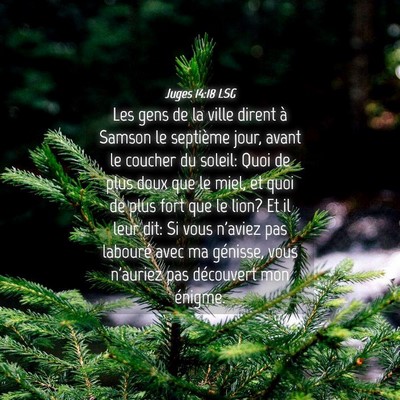 Picture 04 - Juges 14:18 LSG - Les gens de la ville dirent à Samson le - Bible Verse Picture
