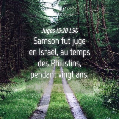 Picture 04 - Juges 15:20 LSG - Samson fut juge en Israël, au temps des - Bible Verse Picture