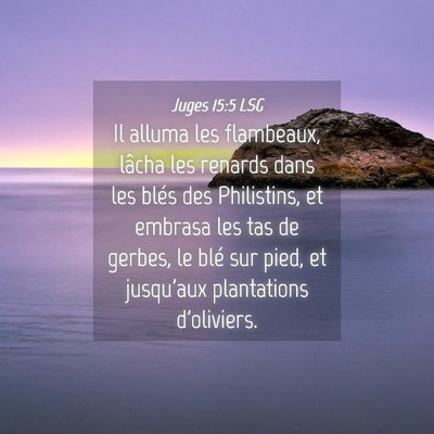 Picture 04 - Juges 15:5 LSG - Il alluma les flambeaux, lâcha les renards dans - Bible Verse Picture
