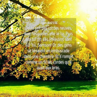 Picture 04 - Juges 16:12 LSG - Delila prit des cordes neuves, avec lesquelles - Bible Verse Picture