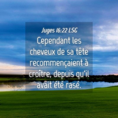 Picture 04 - Juges 16:22 LSG - Cependant les cheveux de sa tête recommençaient - Bible Verse Picture