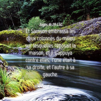 Picture 04 - Juges 16:29 LSG - Et Samson embrassa les deux colonnes du milieu - Bible Verse Picture