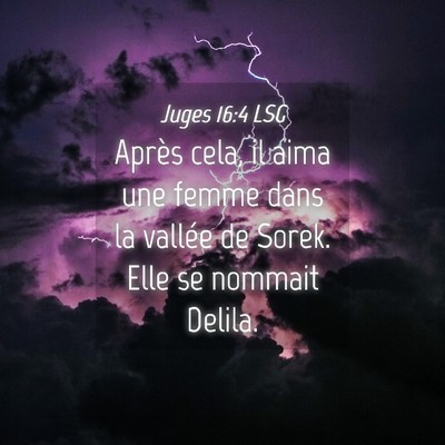 Picture 04 - Juges 16:4 LSG - Après cela, il aima une femme dans la vallée de - Bible Verse Picture