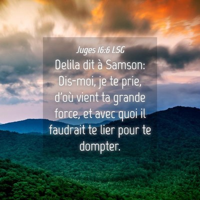 Picture 04 - Juges 16:6 LSG - Delila dit à Samson: Dis-moi, je te prie, d'où - Bible Verse Picture