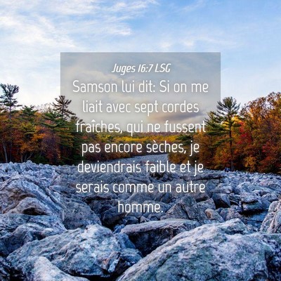 Picture 04 - Juges 16:7 LSG - Samson lui dit: Si on me liait avec sept cordes - Bible Verse Picture
