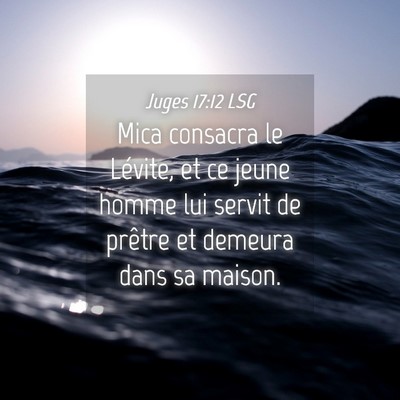 Picture 04 - Juges 17:12 LSG - Mica consacra le Lévite, et ce jeune homme lui - Bible Verse Picture