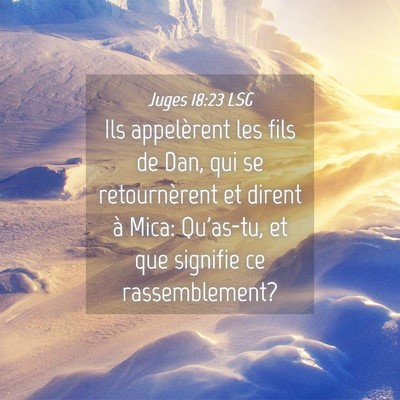 Picture 04 - Juges 18:23 LSG - Ils appelèrent les fils de Dan, qui se - Bible Verse Picture