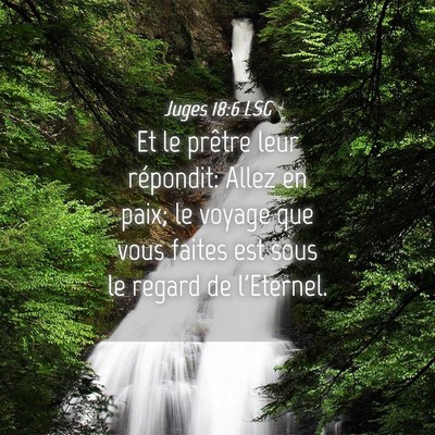 Picture 04 - Juges 18:6 LSG - Et le prêtre leur répondit: Allez en paix; le - Bible Verse Picture